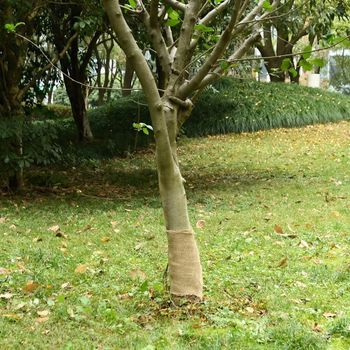 Vidaxl Rollo De Yute 0,25x100 M 100% Yute 200 Gsm