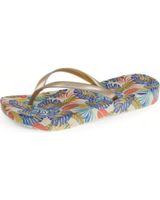 de beppi 2206461 gold