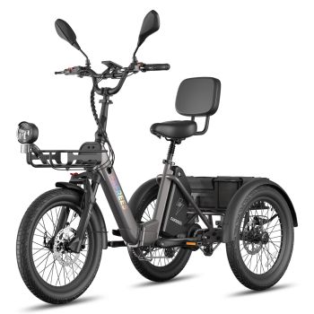 [EU Direct] FAFREES F20 Mate II Triciclo eléctrico de carga, batería de 48V 21AH, motor de 250W, potencia pico de 750W,