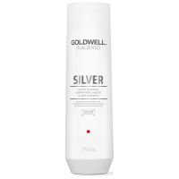 goldwell dualsenses silver shampoo 250ml