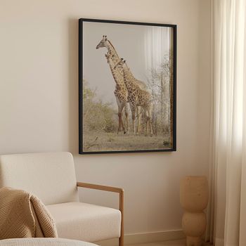 Cuadro girafa, marco negro, 50x70 cm