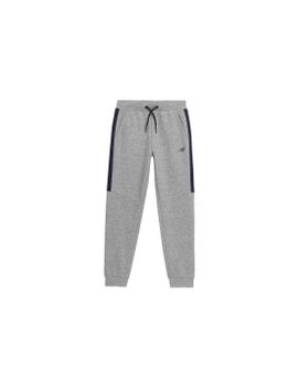 Pantalones 4F JSPMD002 Niño Gris