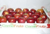 manzana red chief