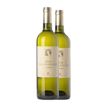 Jean-luc Thunevin Vino Blanco Virginie De Valandraud Blanc Bordeaux Crianza 75 Cl 14.5% Vol. (pack De 2 Unidades)