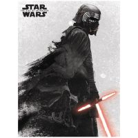 pyramid lienzo star wars episodio 9 30x40cm