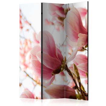 Biombo - Pink Magnolia (135x172 Cm)