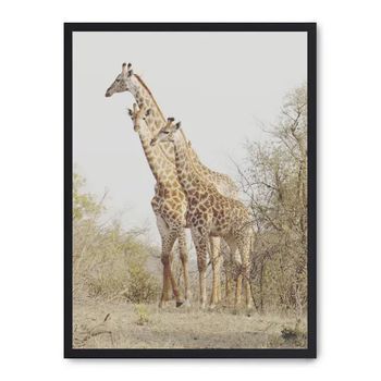 Cuadro Giraffe In The Savana Ii
