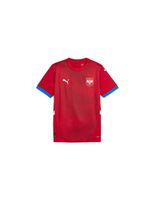 camiseta de futbol puma serbia 2024 hombre rojo