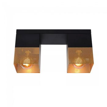 Plafón de techo renate (2 luces)