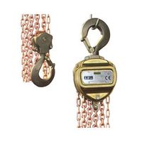 polipasto 1 ton prof atex - ayerbe - 583860