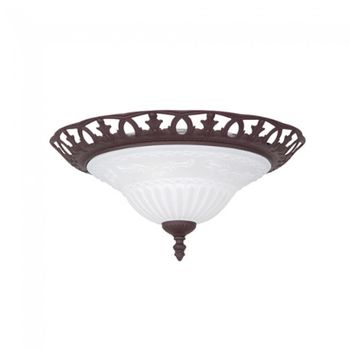 Plafón de techo rustica