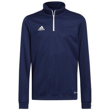 adidas Chaqueta deporte Entrada 22 Track para hombre