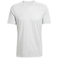 adidas camiseta t-shirt campeon 25 gris para hombre