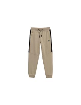 Pantalones 4F JSPMD002 Niño Marrón