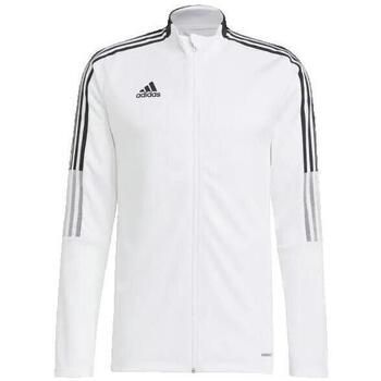 adidas Camiseta manga larga T-shirt manches longues Team Base para hombre