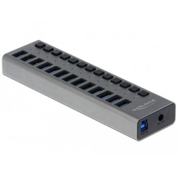 Hub DeLOCK 13 puertos USB 3.2 Gen 1 5 Gbps con interruptores individuales
