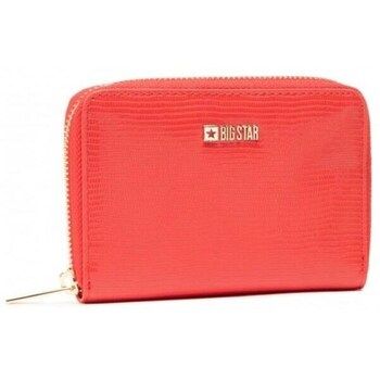 Big Star Cartera HH674008 para mujer