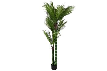 Planta pe cemento palmera verde 100x100x235cm