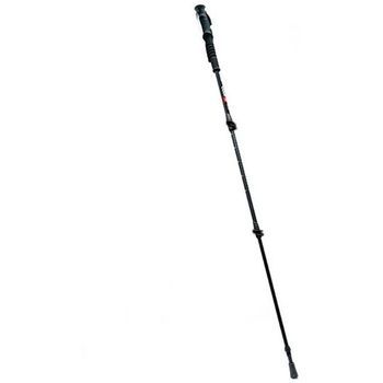 Baston De Senderismo Eastlock +8000
