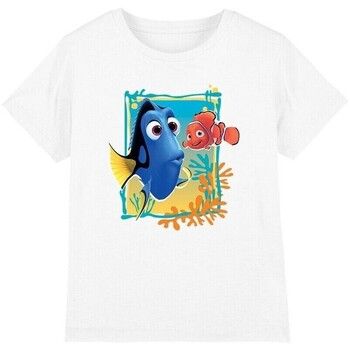 Finding Nemo Tops y Camisetas TV3865 para niño