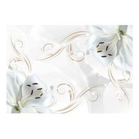 papel pintado 3d - bailarinas blancas 200x140 cm