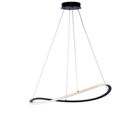 raky - lampara colgante negra led cct aluminio lacado mando a distancia y cables ajustables o70