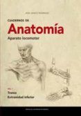 cuadernos de anatomia aparato locomotor