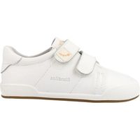 blanditos deportivas moda londresbd deportivo cinta adhesiva para nino