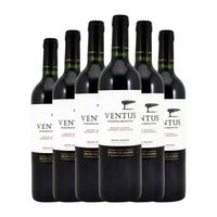 fin del mundo vino tinto ventus mendoza 75 cl 14 vol pack de 6 unidades