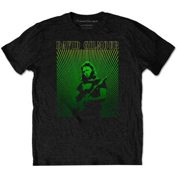 David Gilmour Tops y Camisetas Rays Gradient para mujer