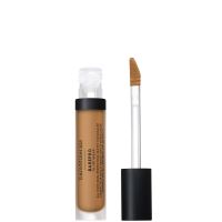 bareminerals barepro all-over skin-perfecting matte concealer mineral spf 25 75ml various shades - medium 300 warm