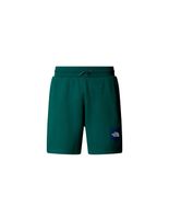 pantalones de montana the north face box nse regular green hombre