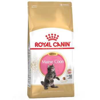 Royal Canin Maine Coon Kitten - 4kg