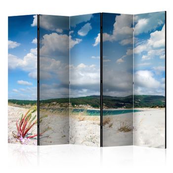 Biombo - Beach On The Costa Da Morte Ii [room Dividers]
