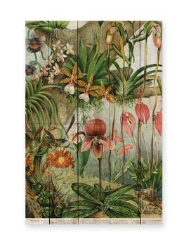 Panel decorativo madera 60x40 jungla de flores