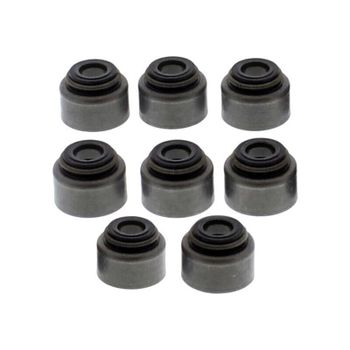Retén de aceite Aprilia Caponord 1000 kit