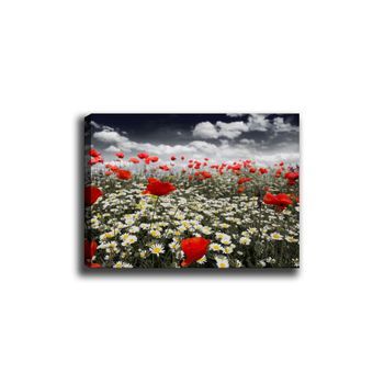 Pintura Decorativa Lienzo Canvas Tablo-60 Multicolor 70x100 Cm