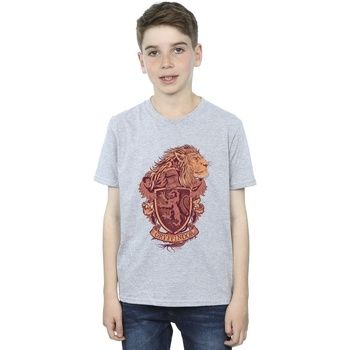 Harry Potter Tops y Camisetas Gryffindor para niño