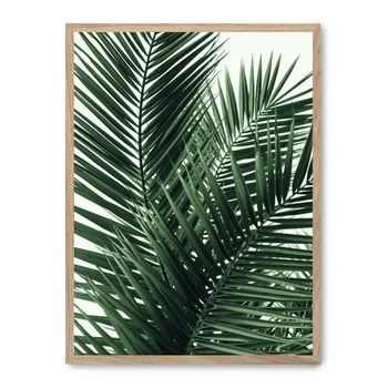 Cuadro Palm Leaves