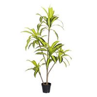 lolahome planta artificial dracena para interior y exterior 150 cm monty