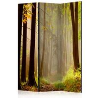 biombo - mysterious forest path 135x172 cm