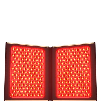 FOREO FAQ Dual LED Panel