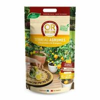 compost para macetas premium para plantas exitosas