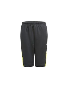Pantalones de Trainning adidas Predator Inspired