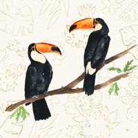 cuadro pajaros tropicales felices impresion sobre lienzo 50x50cm