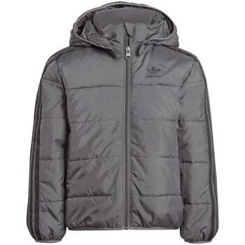 adidas Chaqueta Adicolor para niño