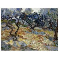 legendarte - cuadro lienzo impresion digital - olivos - vincent van gogh - decoracion pared cm 60x80