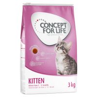 concept for life kitten - receta mejorada - 3 kg