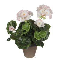 geranio blanco rosa pvc en manceta gris