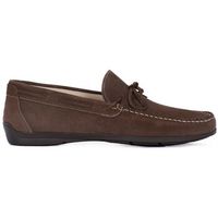 igico mocasines scamosciato tortora para hombre